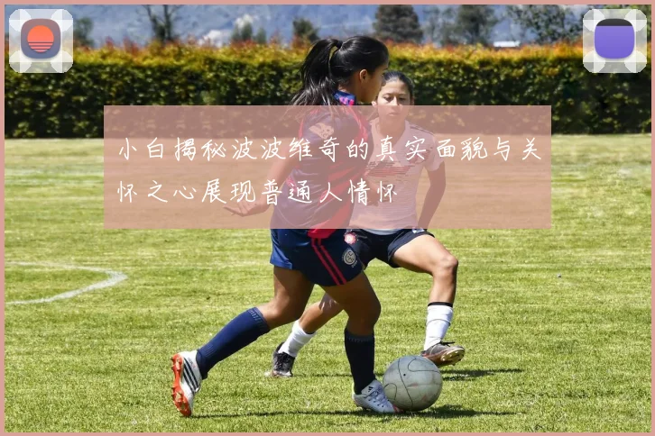 小白揭秘波波维奇的真实面貌与关怀之心展现普通人情怀